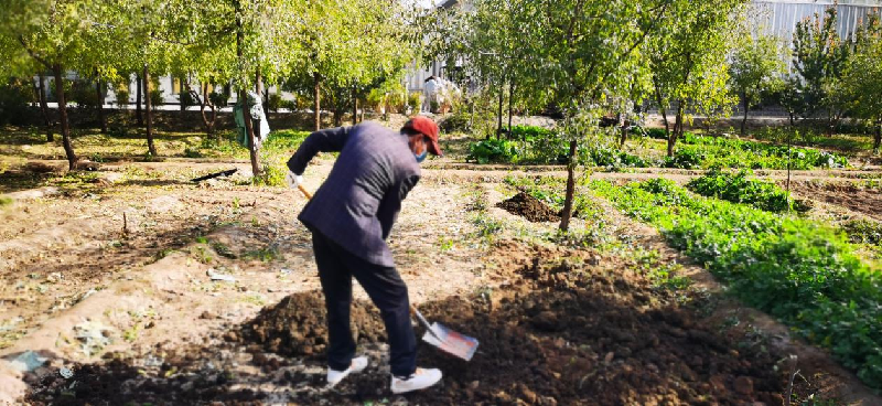 銀川伊百盛生物工程有限公司 銀川伊百盛生物工程有限公司