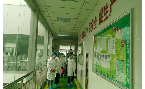 值公司成立十周年慶典，公司贊助萬名老人免費游寧夏系列活動