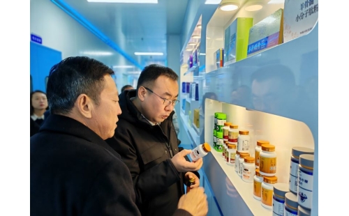 金鳳區(qū)常委、組織部長杜鈞，副區(qū)長、公安局長王占東一行蒞臨企業(yè)參觀調(diào)研